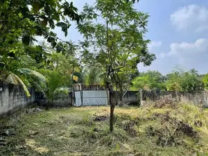 Land for sale in pasyala
