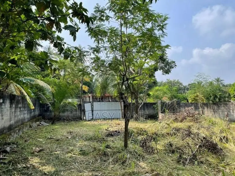 Land for sale in pasyala