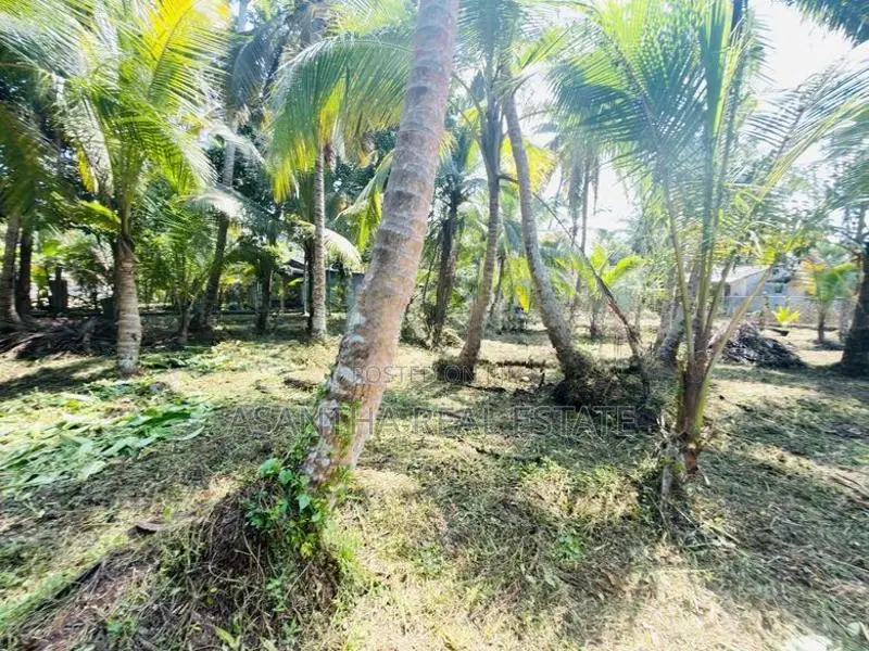 (AFA973) 58 P LAND AT 200 M Galle Road Wadduwa Kaluthara