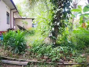 Pannipitiya Land for Sale