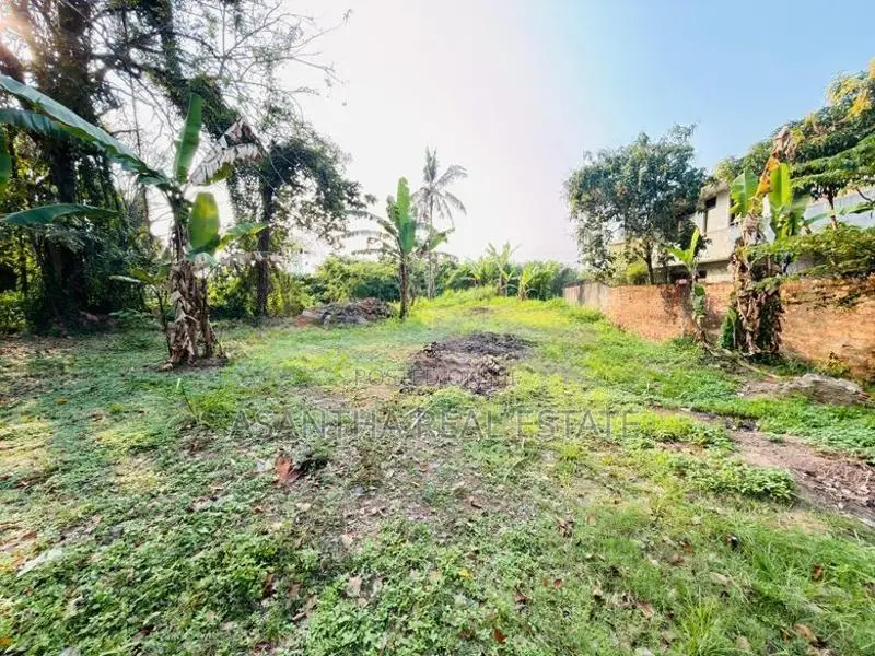 (AFA955) 19 P Bare Land Sale At Battramulla