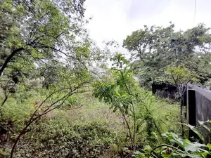 28.65 P Bare Land Sale at Devala Road Nugegoda
