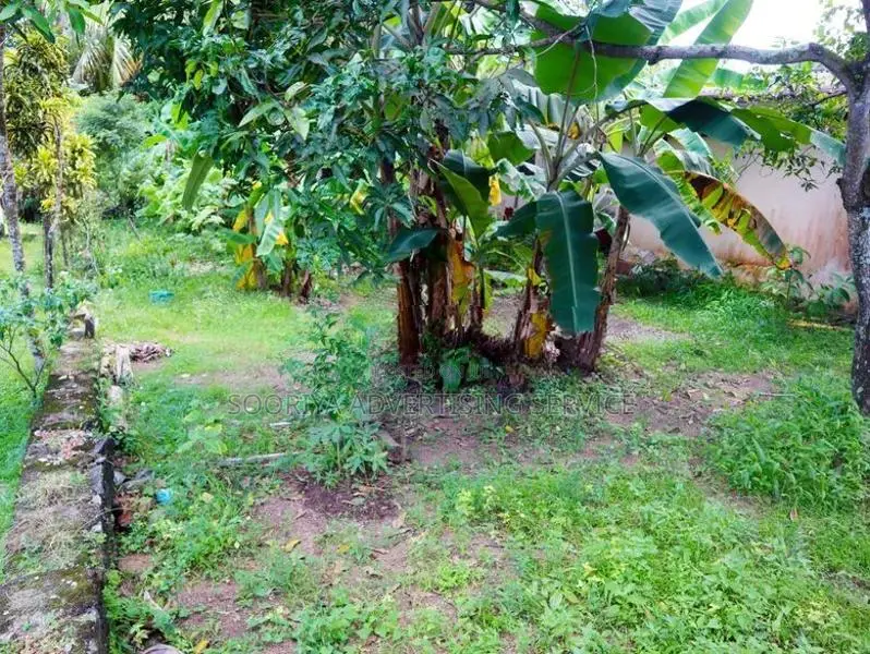 Pannipitiya Land for Sale