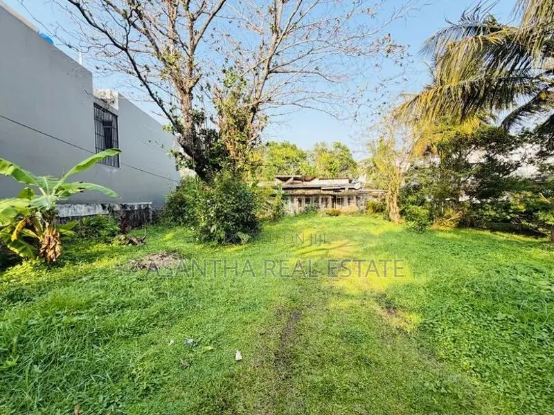 (AFA02) 38.9 P Land Sale At Waddya Road Dehiwala