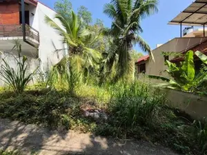 6.3 P Residential Bare Land For Sale Depanama