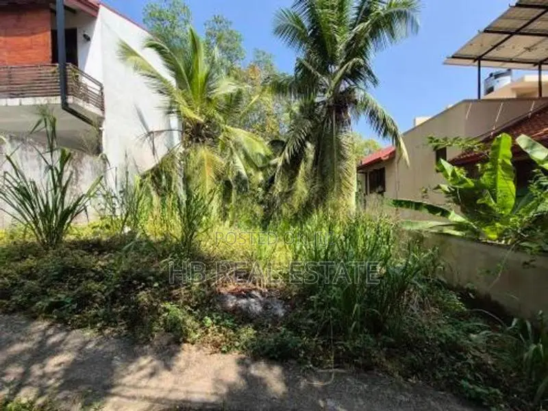 6.3 P Residential Bare Land For Sale Depanama
