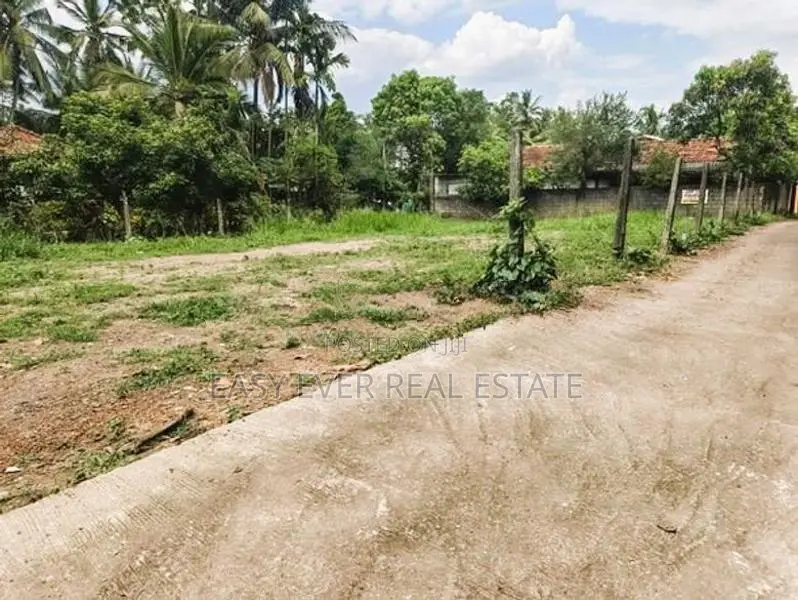 යක්කල ලයිසියම් පාසලට ළගින් ඉඩමක්
