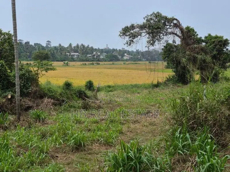 Udawatta land for sale