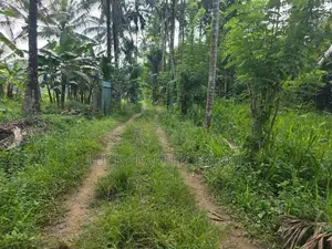 Sale Padukka, Agriculture, Farm Land For (NZMS3052)