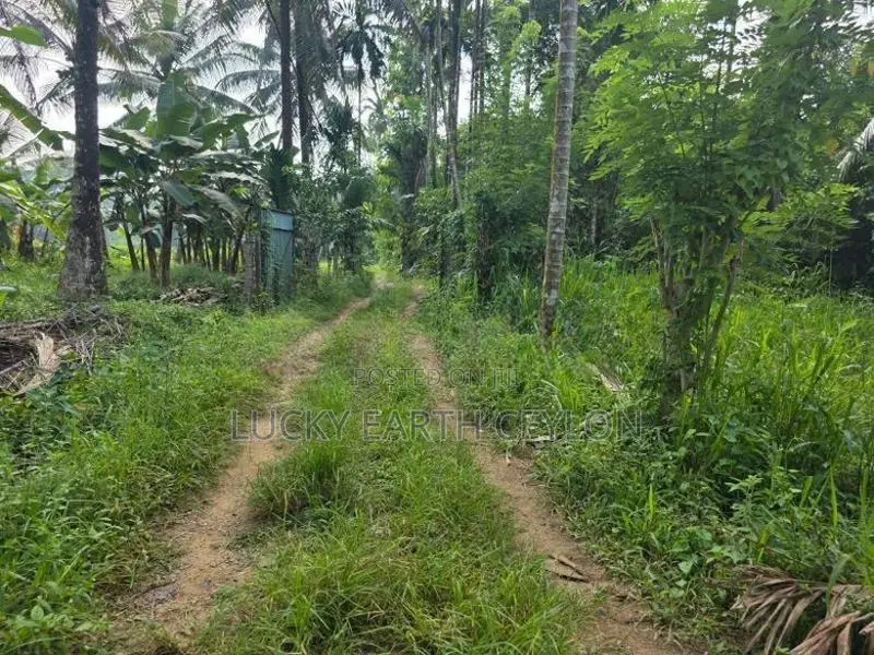 Sale Padukka, Agriculture, Farm Land For (NZMS3052)