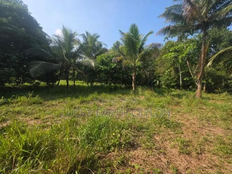 Sale Padukka, Agriculture, Farm Land For (NZMS3052)