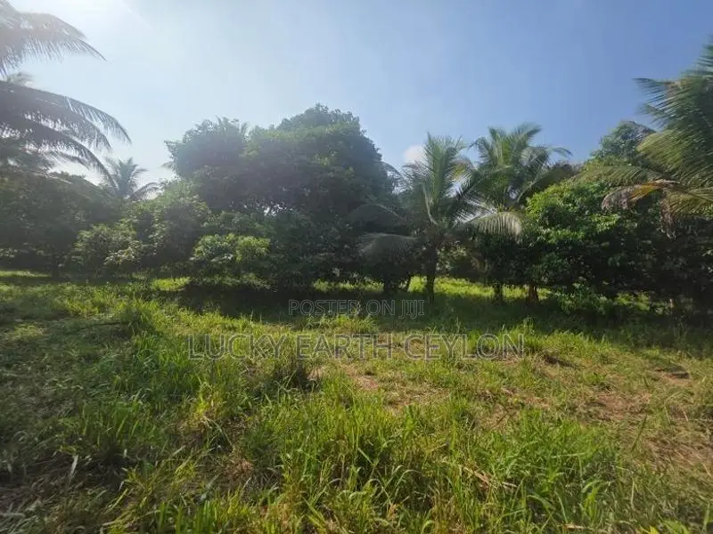 Sale Padukka, Agriculture, Farm Land For (NZMS3052)