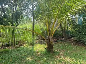 Best House For Sale Malabe