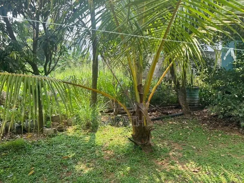 Best House For Sale Malabe