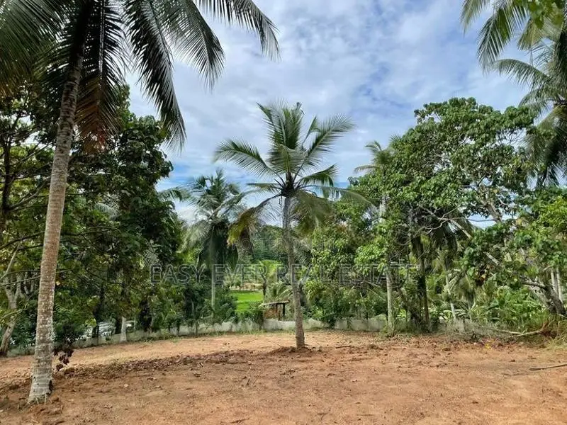 Land for Sale in Kirindiwela