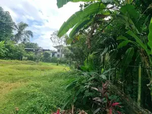 Land for sale in Polgahawela