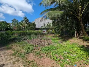 Land for Sale in Weliweriya