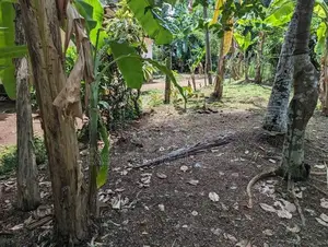 Land for sale in Ragama