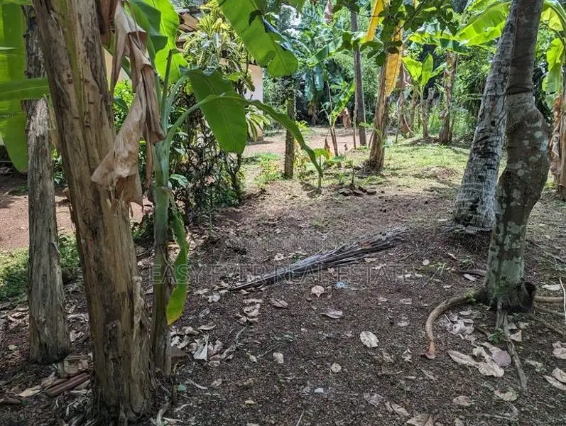 Land for sale in Ragama
