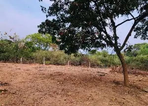 Prime 50 Perch Sea View Land in Kalametiya, Tangalle | SL14766