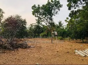 Prime 50 Perch Sea View Land in Kalametiya, Tangalle | SL14766