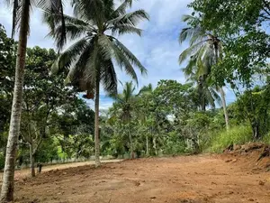 Land for Sale in Kirindiwela