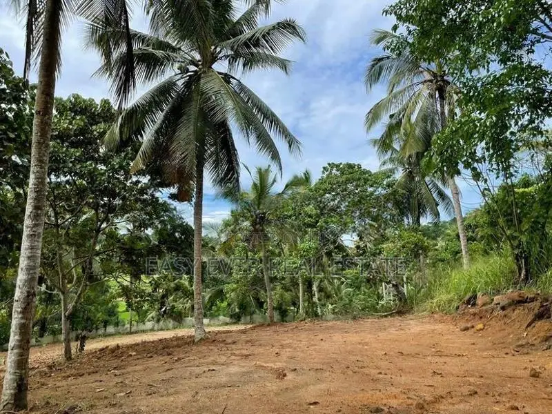 Land for Sale in Kirindiwela