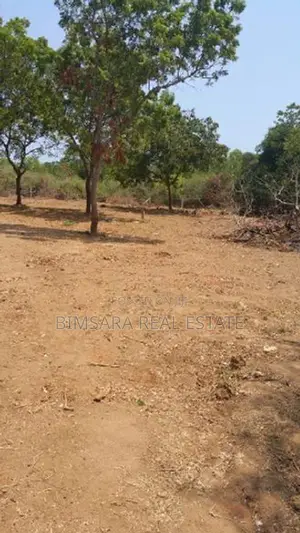 Prime 50 Perch Sea View Land in Kalametiya, Tangalle | SL14766