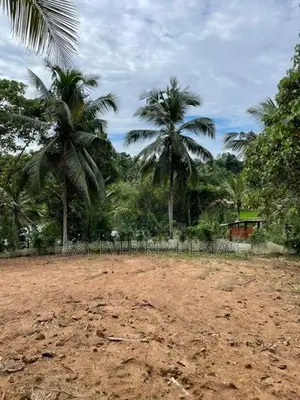 Land for Sale in Kirindiwela