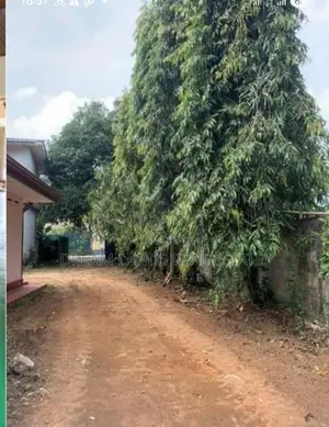 ☆ Avissawella Commercial Land for Rent ( R - 612 )