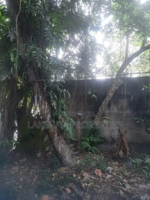 Land For Sale In Boralesgamuwa අබේරත්න මාවත
