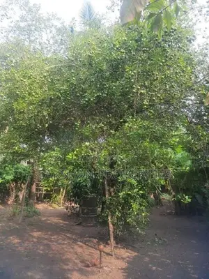Land For Sale In Maharagama Navinna