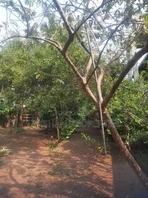 Land For Sale In Maharagama Navinna
