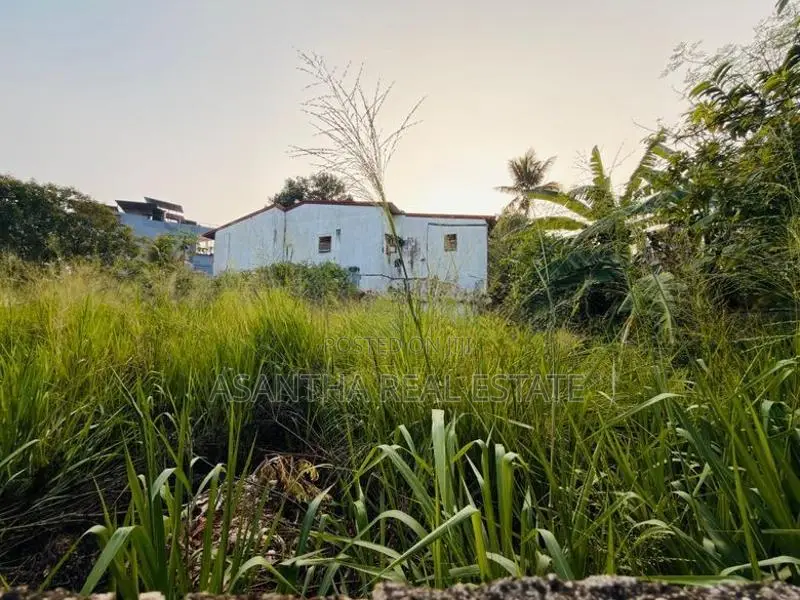 (AF665) 6.5 P Land Sale At Battramulla