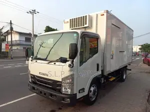 Isuzu Elf 14.5 MANUAL FREEZER 2018