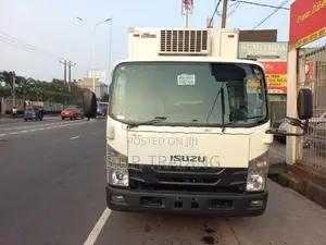 Isuzu Elf 14.5 MANUAL FREEZER 2018