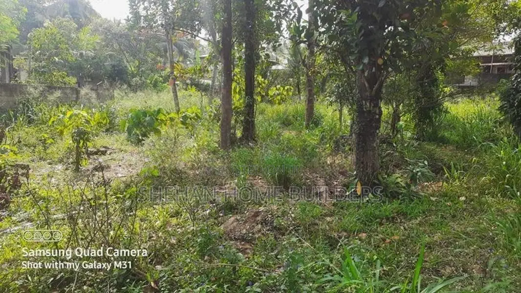 valuable Land for sale in Waligampitya Gurugea Road