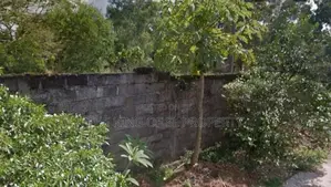 Commercial Land for Sale in Gampaha ( Rathupaswala )