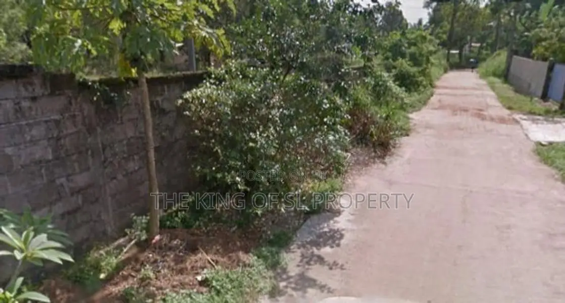 Commercial Land for Sale in Gampaha ( Rathupaswala )