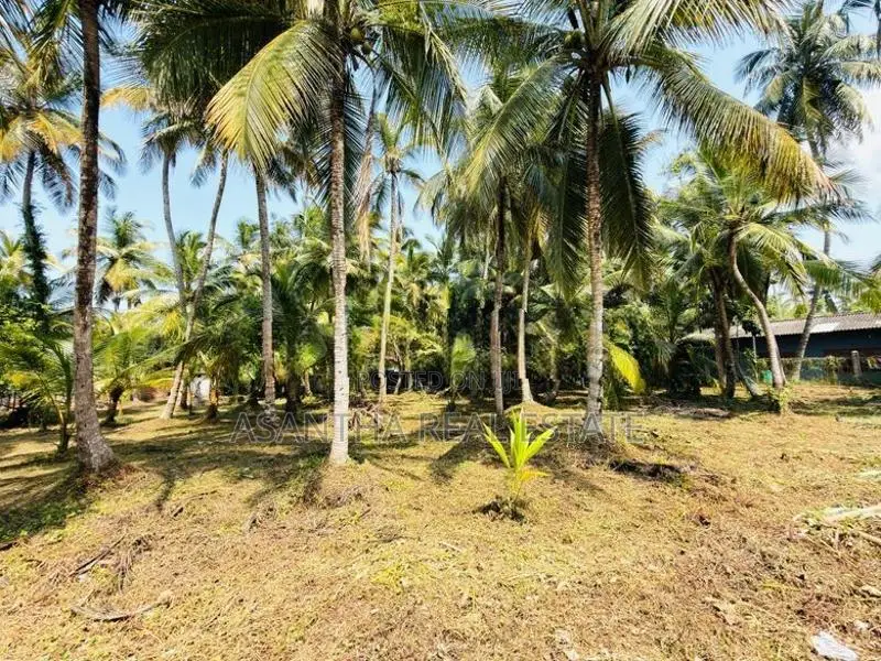 (AF692) 58 P LAND AT 200 M Galle Road Wadduwa Kaluthara