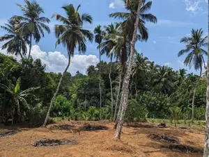 Land for sale in Nittambuwa