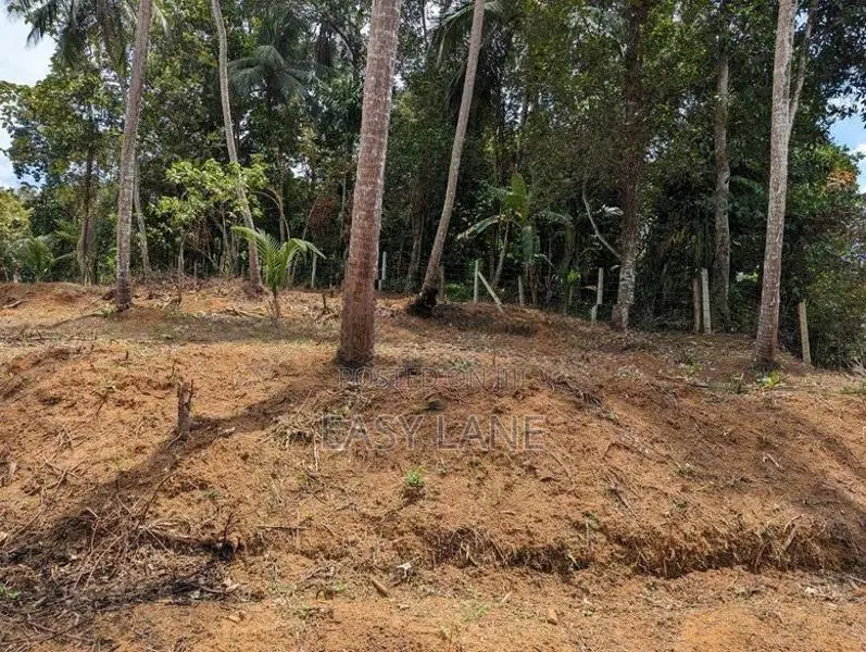 Land for sale in Nittambuwa
