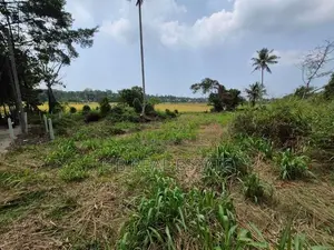 Paddy Field Facing 53.5 P Land for Sale Udawatta Road