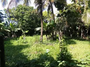 super Land with almost house for sale in kohuwala