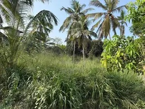 මාලබෙි තලාහෙන පරාක්‍රම මාවතේ ඉඩමක් විකිනිමට .