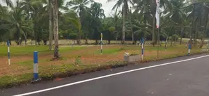 Land In Naiwala