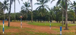 Land For Sale Naiwala