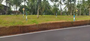 Land In Naiwala