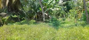 Valuable Commercial land for sale in Galle Town