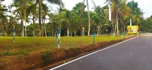 Land In Naiwala